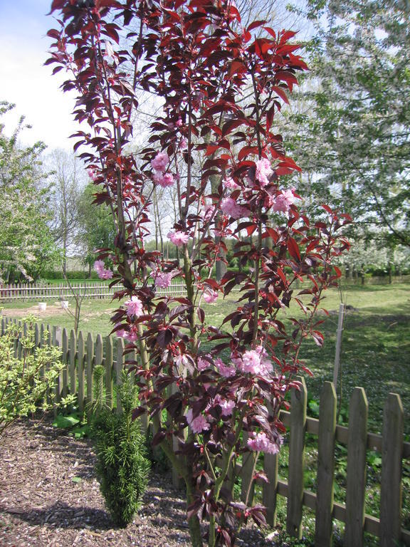 B&B Hoeve Ransberg Exteriér fotografie