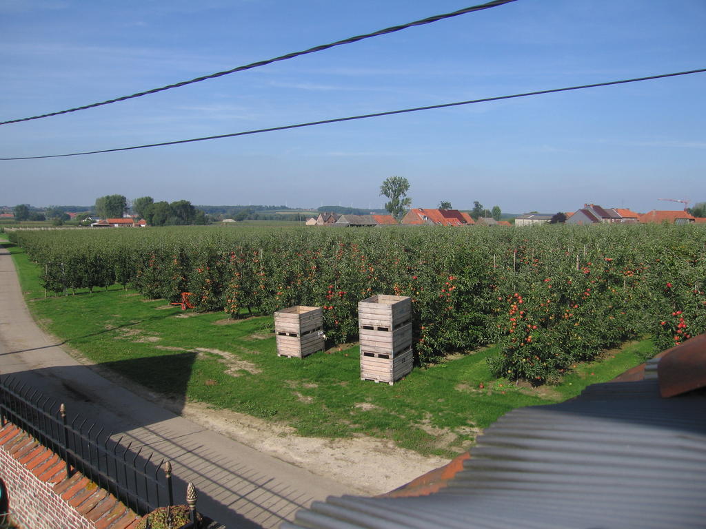 B&B Hoeve Ransberg Exteriér fotografie